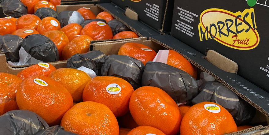Morresi Fruit SRL