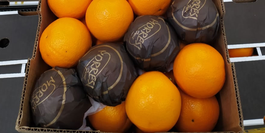 Morresi Fruit SRL