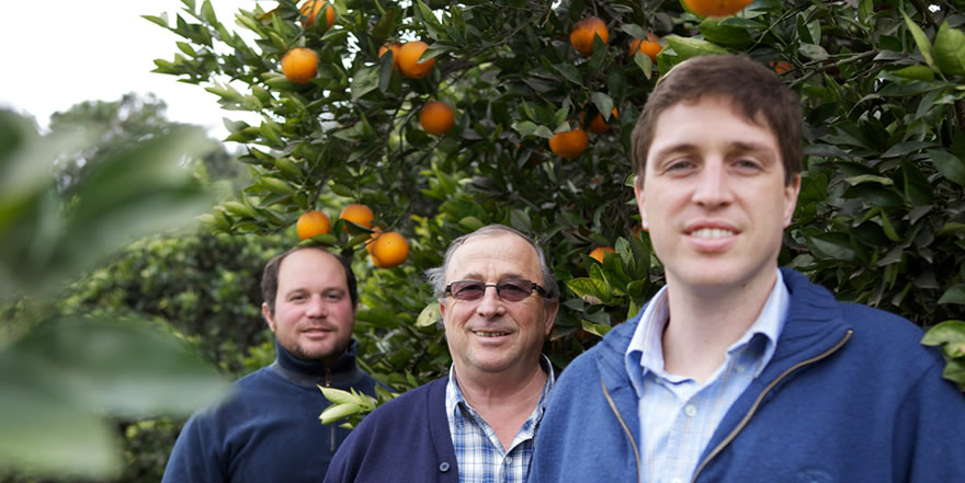 Morresi Fruit SRL