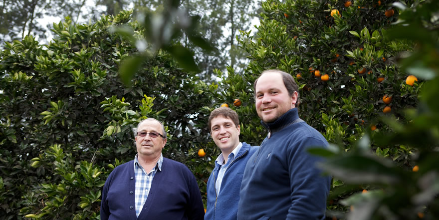 Morresi Fruit SRL