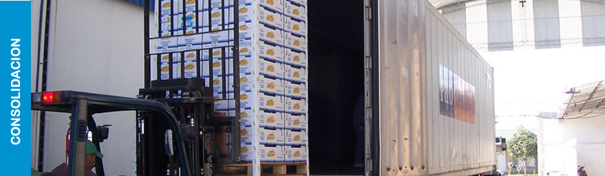 Morresi Fruit SRL