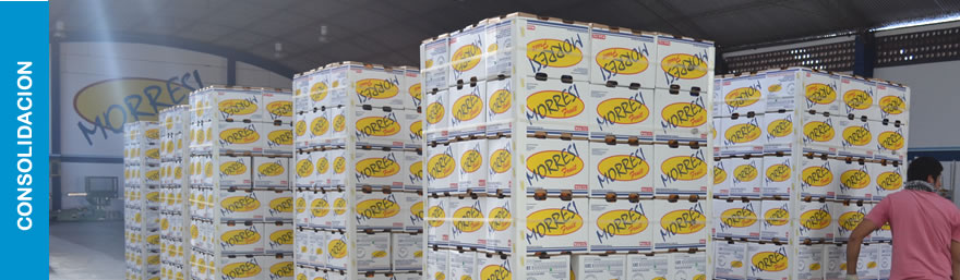 Morresi Fruit SRL
