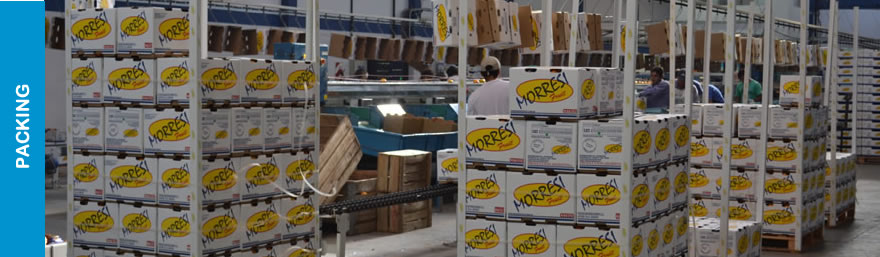 Morresi Fruit SRL
