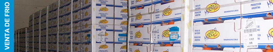 Morresi Fruit SRL