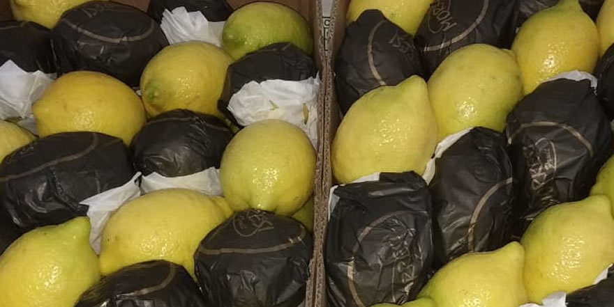 Morresi Fruit SRL